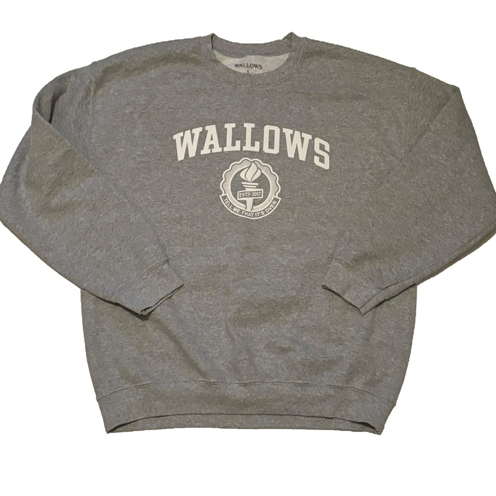 Wallows band crewneck size large grey 23x24 official band merch